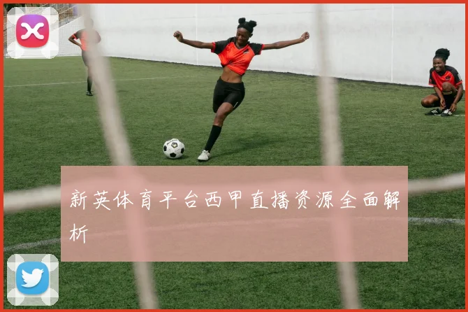 新英体育平台西甲直播资源全面解析