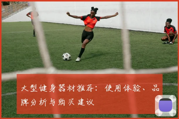 大型健身器材推荐：使用体验、品牌分析与购买建议