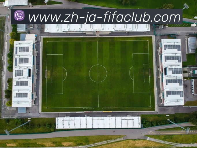 App Interface Preview